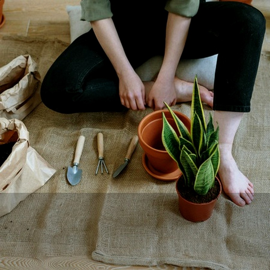 Garden & Outdoors